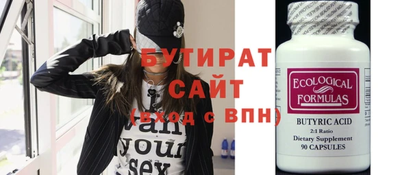 индика Козельск