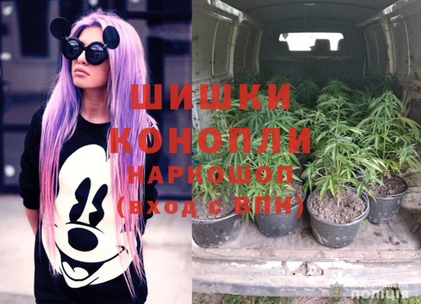 гашик Коряжма