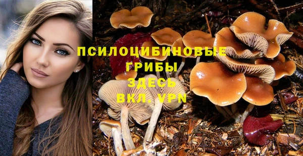 гашик Коряжма