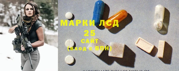 индика Краснотурьинск