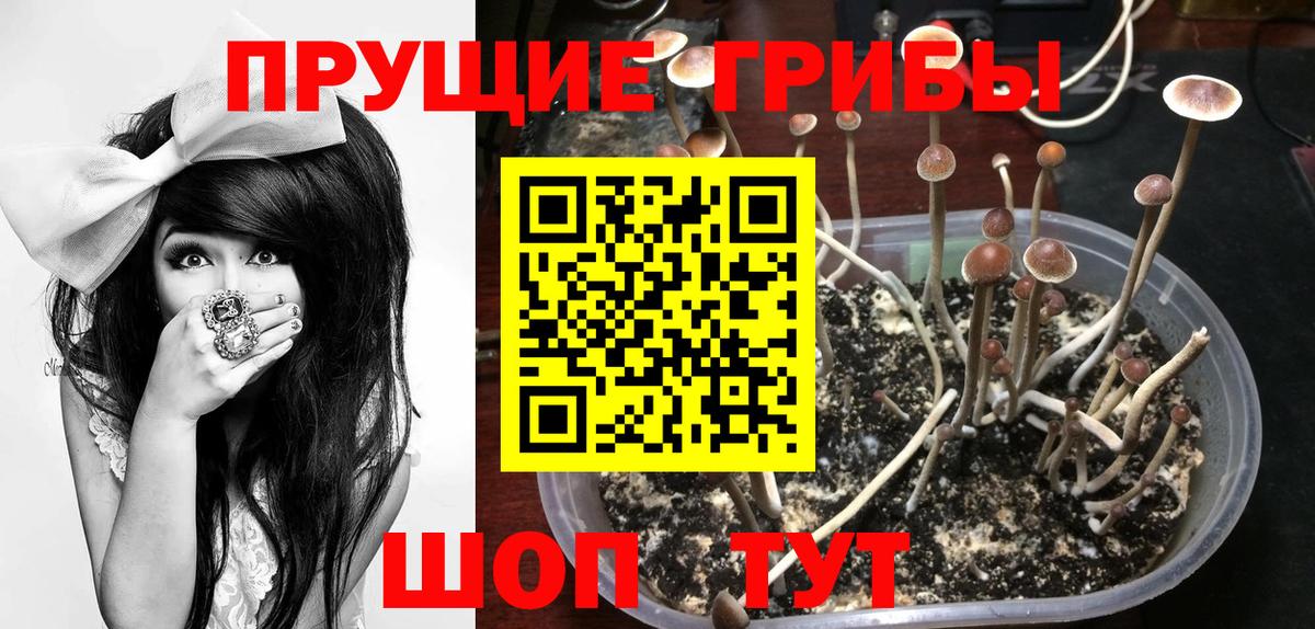 Галлюциногенные грибы Magic Shrooms Куйбышев