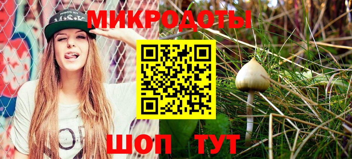 Куйбышев  Галлюциногенные грибы GOLDEN TEACHER  Вход с VPN  Псилоцибиновые грибы MAGIC MUSHROOMS 